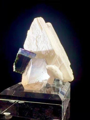 specimen video