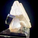 specimen video