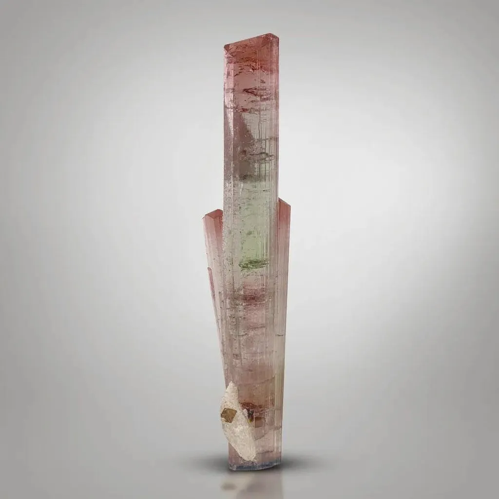 Tourmaline with Microlite image