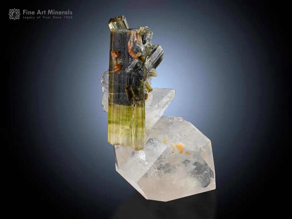 Tourmaline with Microlite and Hambergite on Quartz from Pakistan image