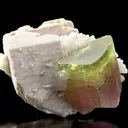 Tourmaline With Microlite Inclusions, Feldspar, Cleavelandite - image 11