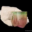 Tourmaline With Microlite Inclusions, Feldspar, Cleavelandite - image 1