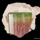Tourmaline With Microlite Inclusions, Feldspar, Cleavelandite - image 2