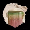 Tourmaline With Microlite Inclusions, Feldspar, Cleavelandite - image 6