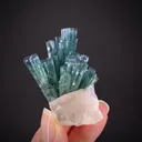 Tourmaline with Morganite and Kunzite - image 1