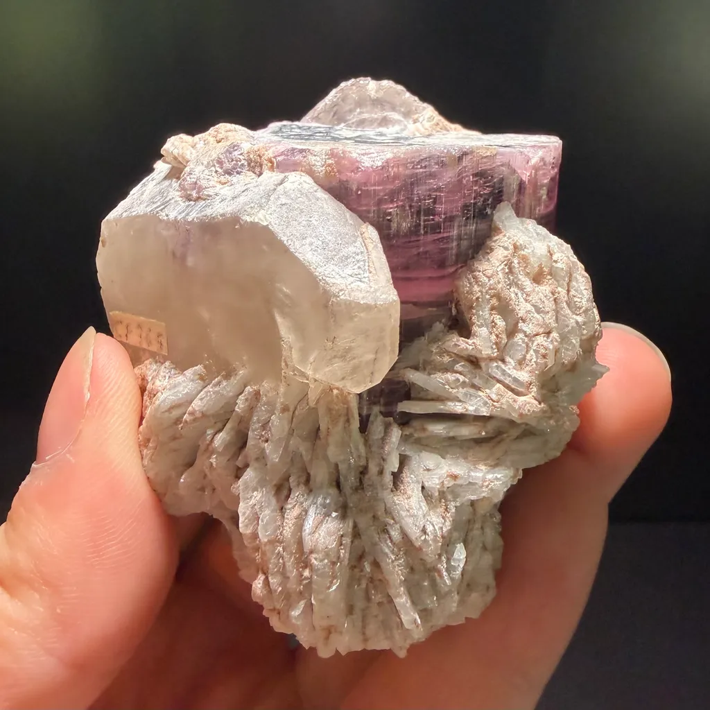 Tourmaline with Morganite (TL) image