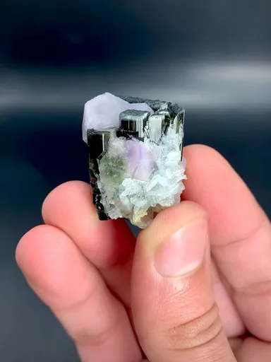 specimen video