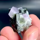 Tourmaline with purple Appatite from Pakistan, Gilgit-Baltistan, Skardu District - image 2