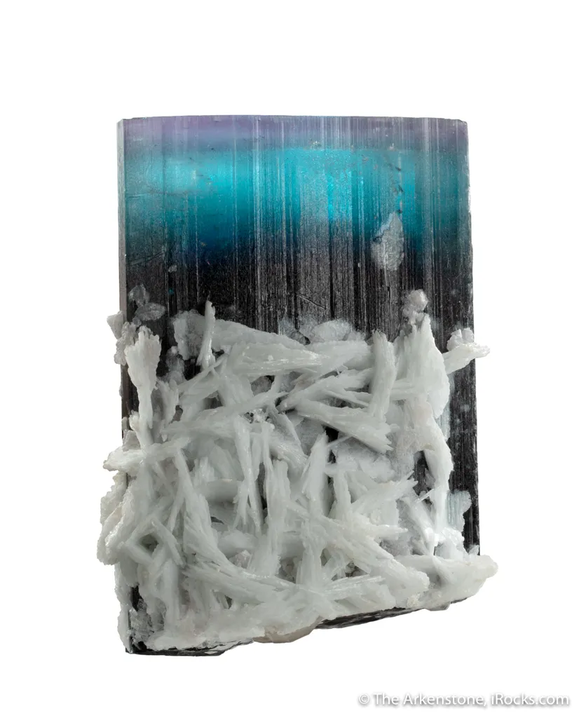 Tourmaline with Purple "cap" with Cleavelandite image