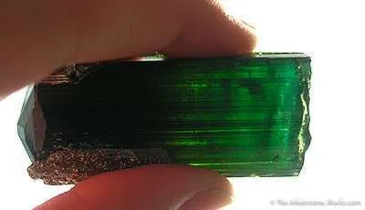 Tourmaline With Pyrite Cap - image 3