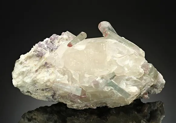 Tourmaline with Quartz image