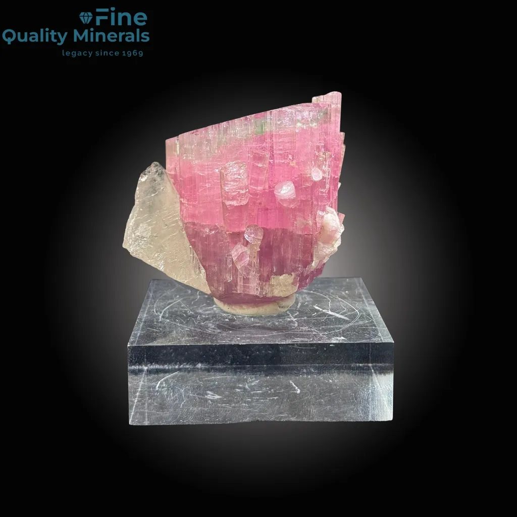 Tourmaline with Quartz image