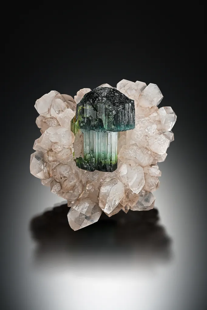 Tourmaline with Quartz image