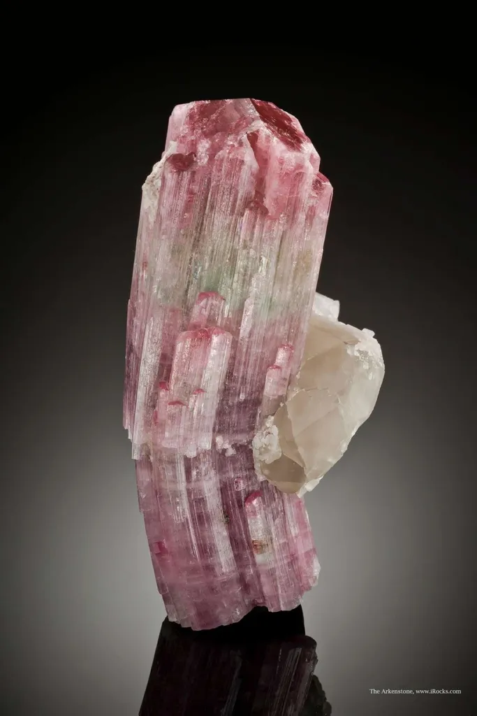 Tourmaline With Quartz image