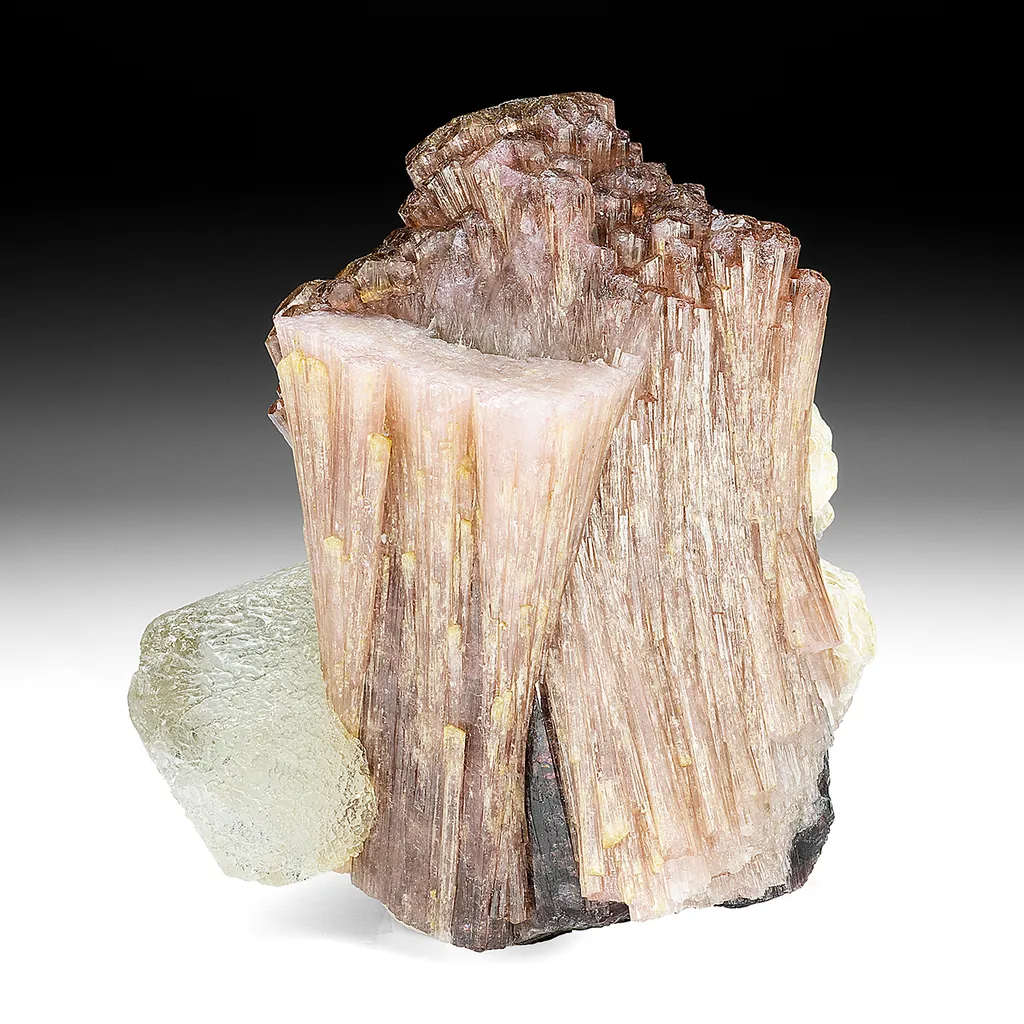 Tourmaline with Quartz image