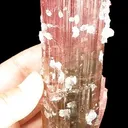 Tourmaline With Quartz - image 4