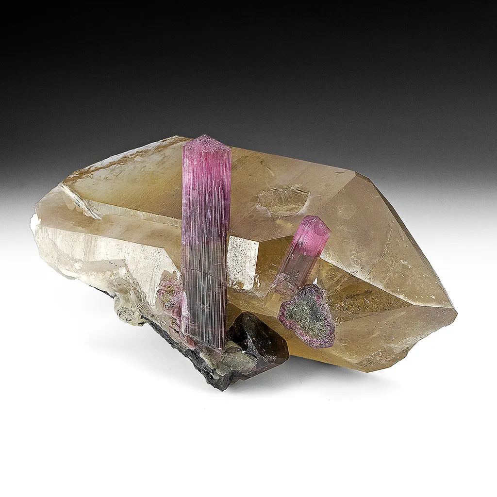 Tourmaline with Quartz image