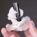 Tourmaline with Quartz and Cleavelandite - image 2