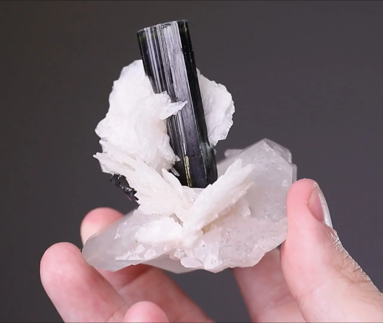 Tourmaline with Quartz and Cleavelandite - image 2