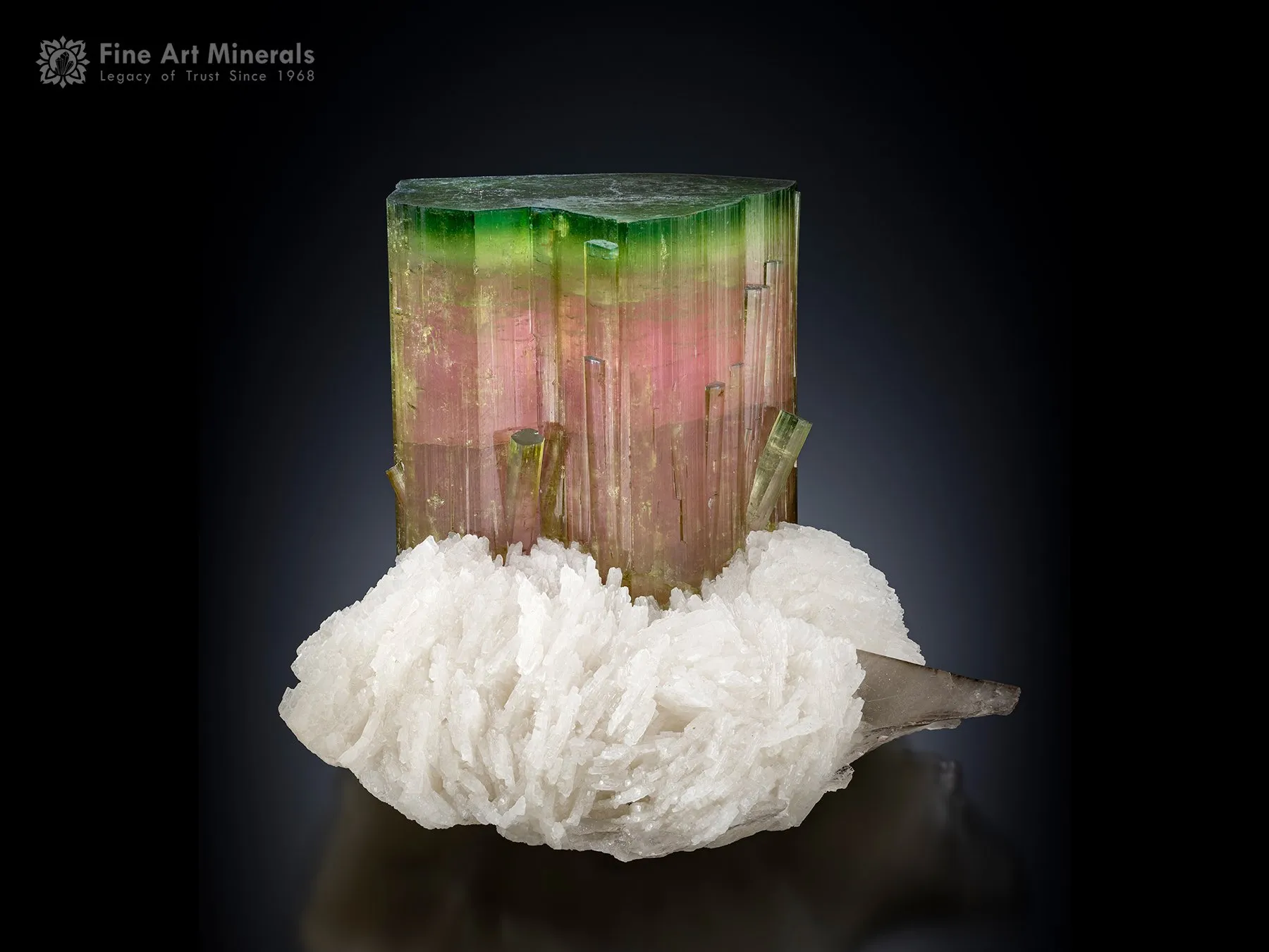 Tourmaline with Quartz and Cleavelandite from Paprok Afghanistan - image 1