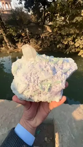specimen video