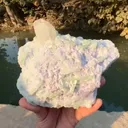 specimen video