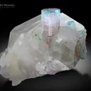 Tourmaline with Quartz from Afghanistan - image 1