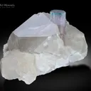 Tourmaline with Quartz from Afghanistan - image 2