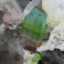 Tourmaline with Quartz from Afghanistan - image 1