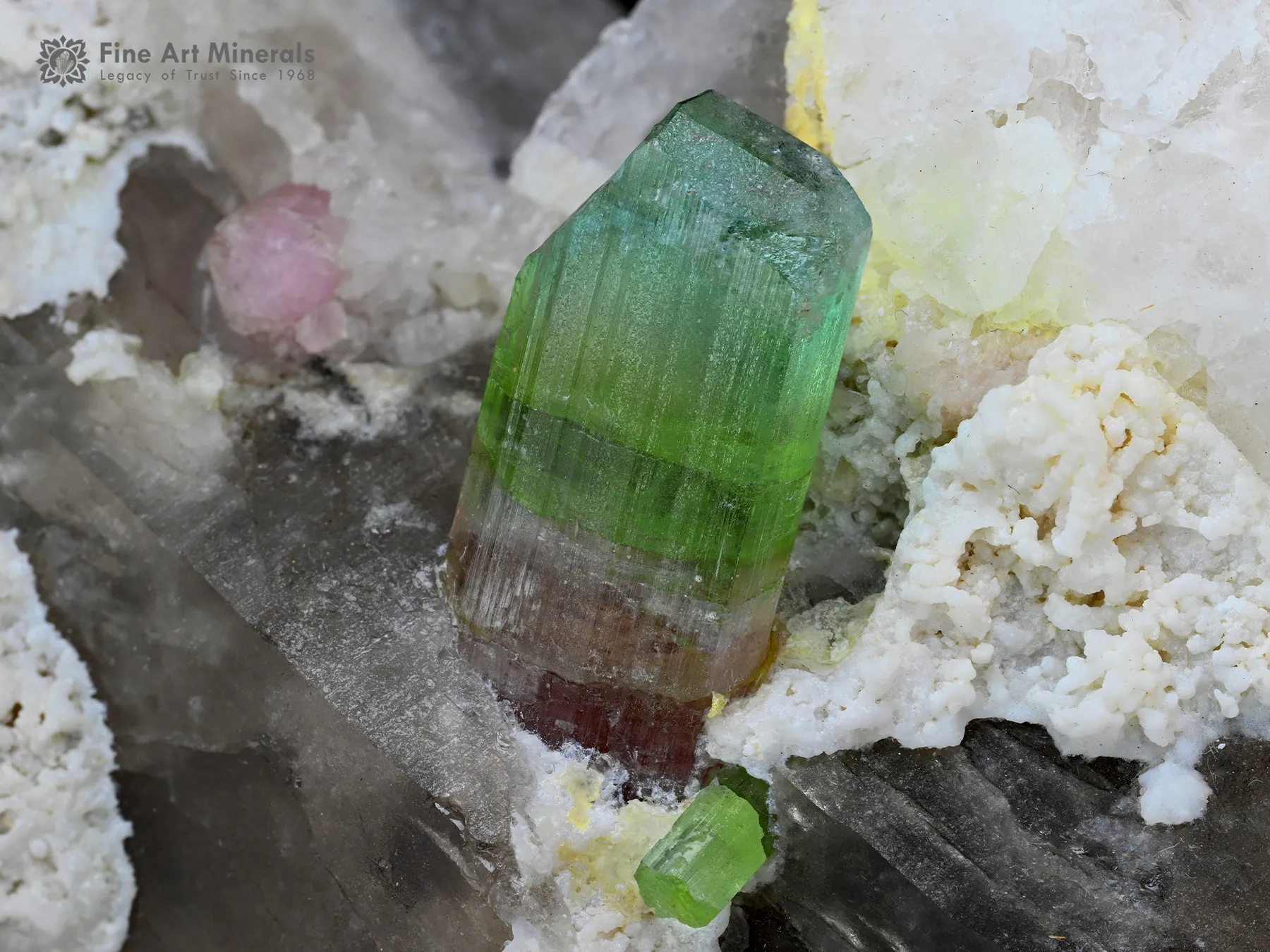 Tourmaline with Quartz from Afghanistan - image 1