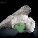 Tourmaline with Quartz from Pakistan - image 1