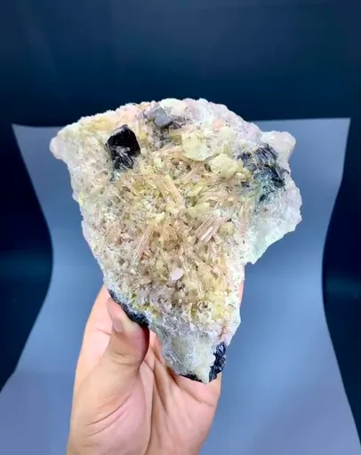 specimen video