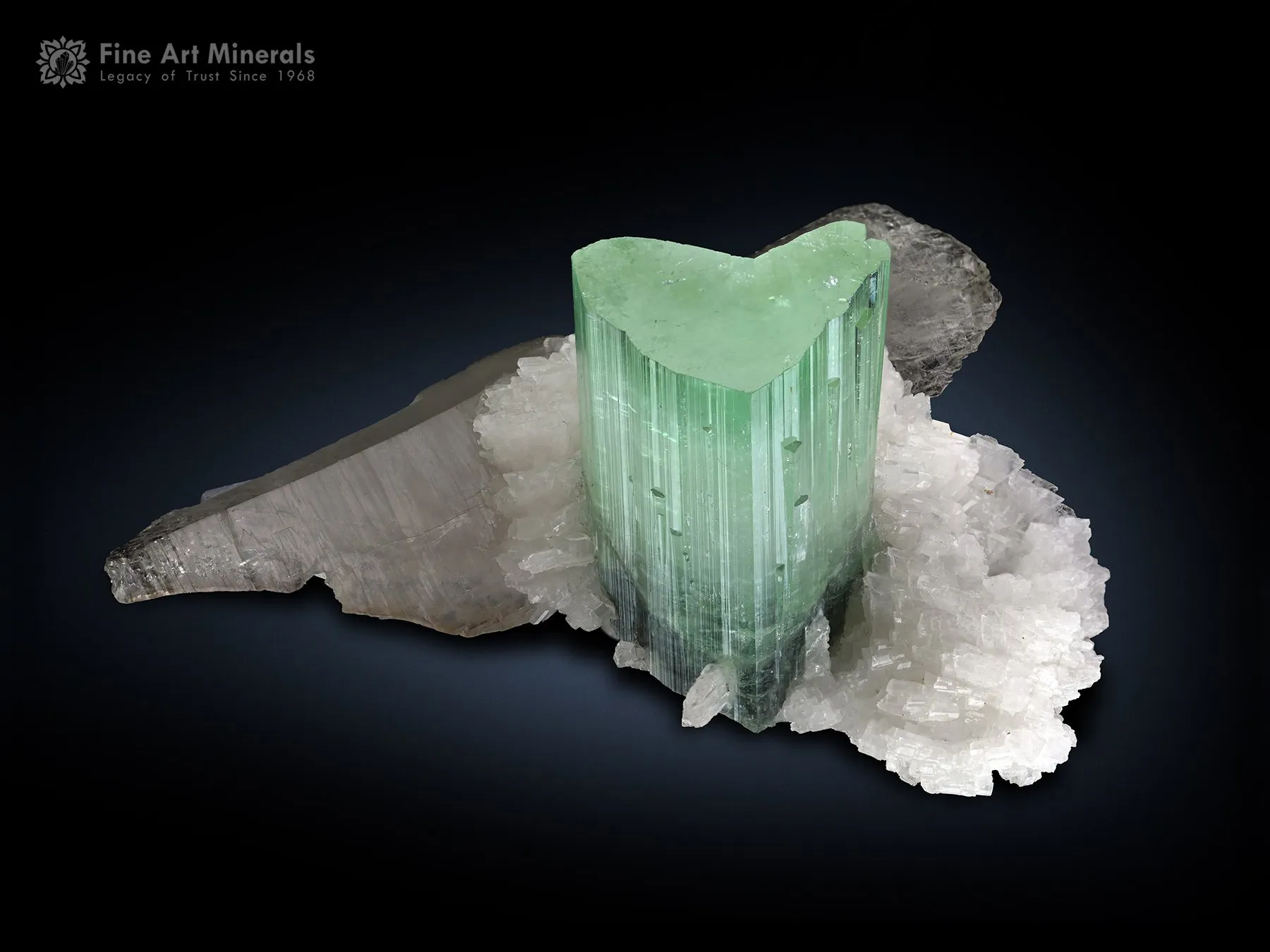 Tourmaline with Quartz from Pakistan - image 3