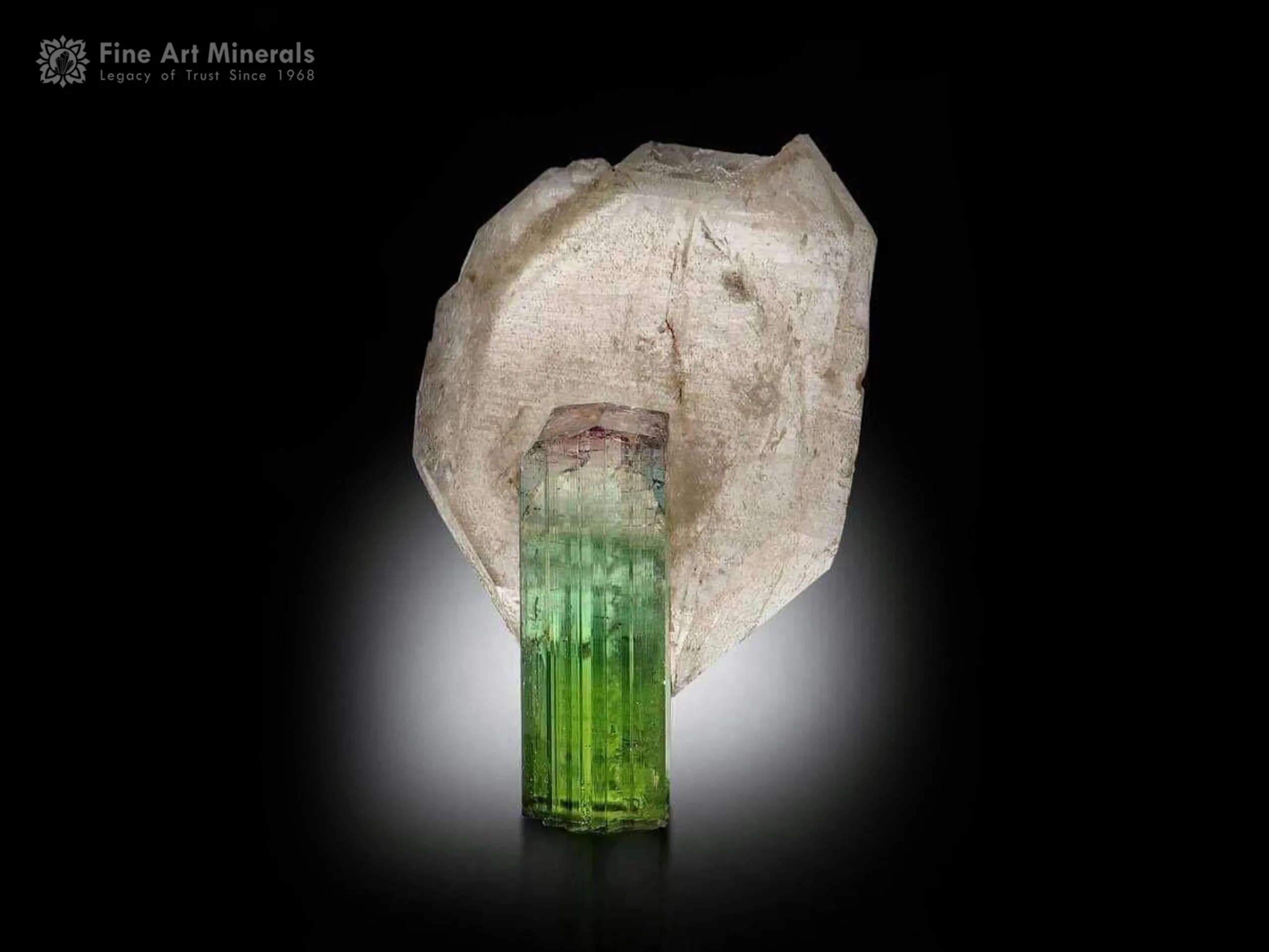 Tourmaline with Quartz from Paprok Afghanistan - image 1