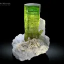 Tourmaline with Quartz from Paprok Afghanistan - image 2
