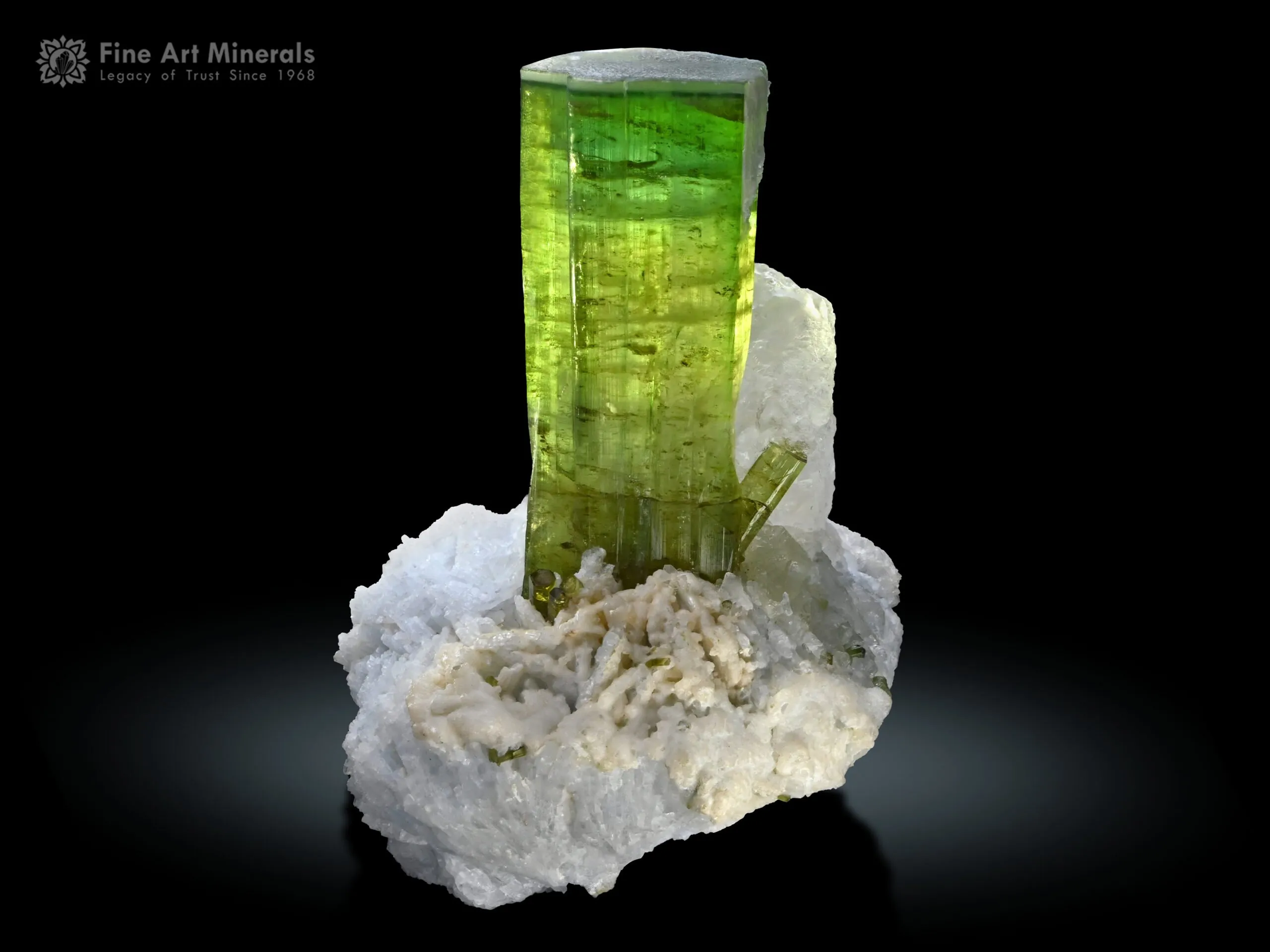 Tourmaline with Quartz from Paprok Afghanistan - image 2