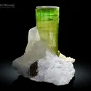 Tourmaline with Quartz from Paprok Afghanistan - image 1