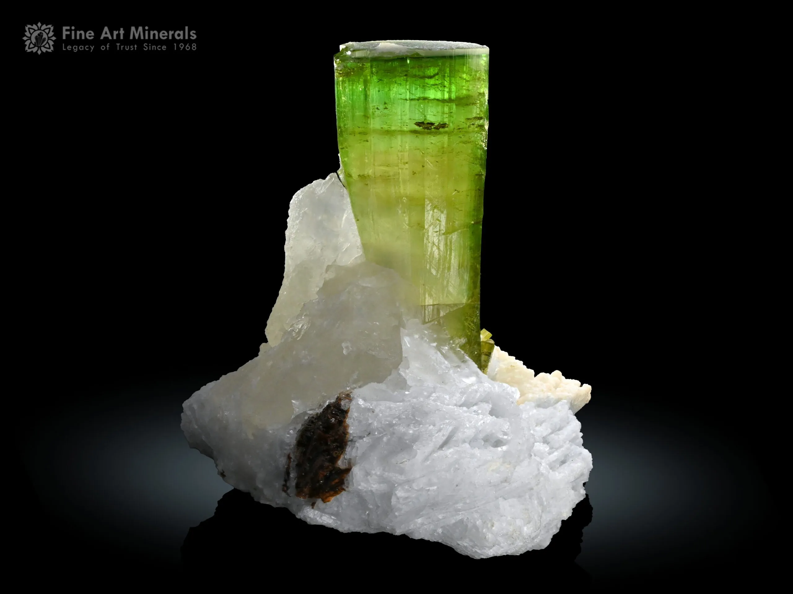 Tourmaline with Quartz from Paprok Afghanistan - image 1