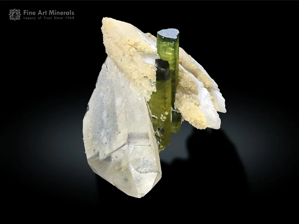 Tourmaline with Quartz Viitaniemiite and Albite from Pakistan image