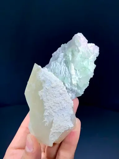 specimen video