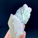 specimen video