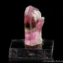 Tourmaline with Stilbite - image 2