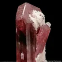 Tourmaline with Stilbite - image 1