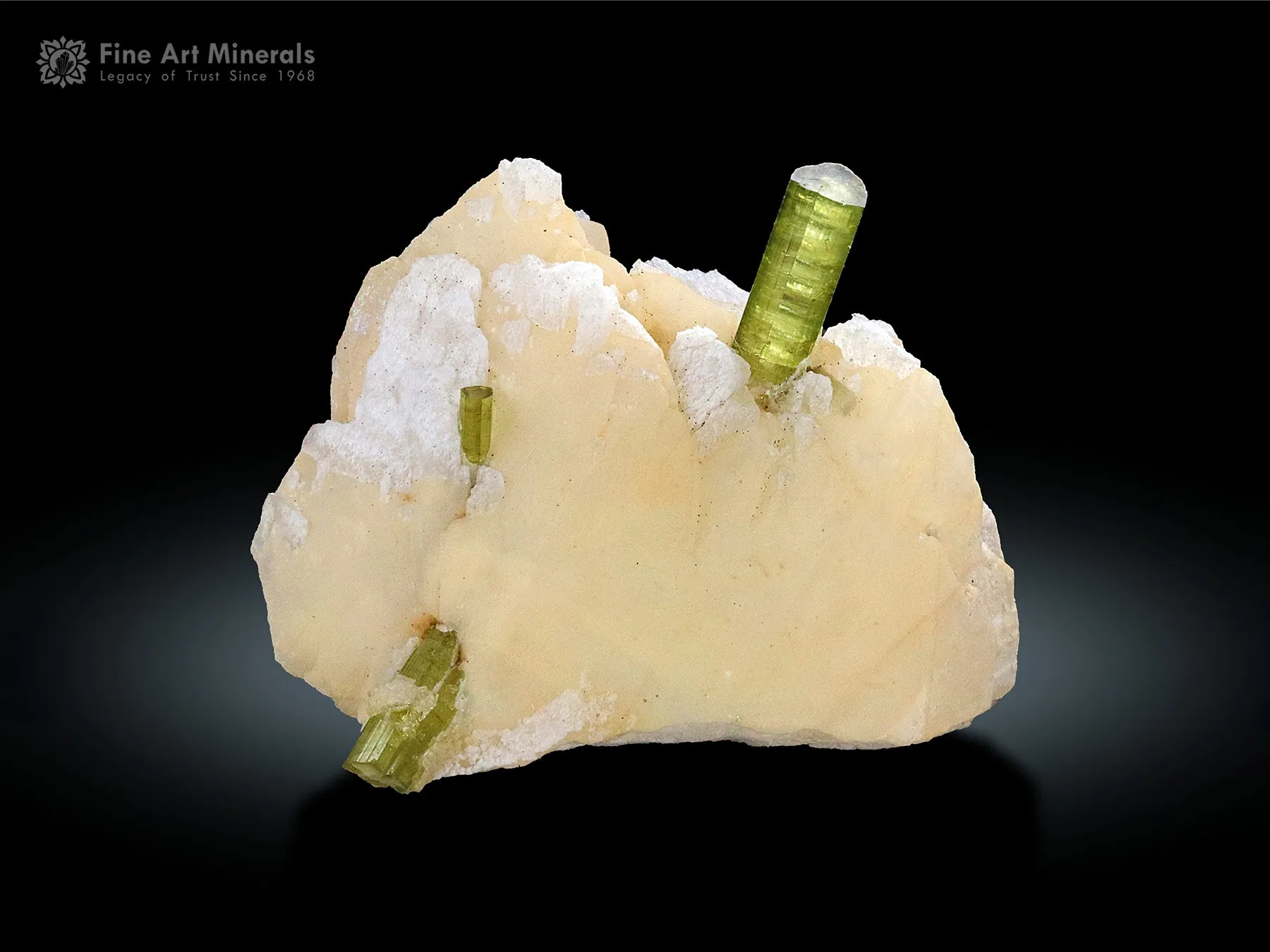 Tourmaline with Viitaniemiite and Feldspar from Pakistan - image 1