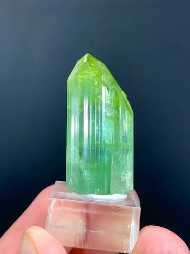specimen video