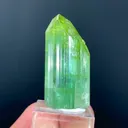 specimen video