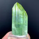 Tower Green Tourmaline Crystal gem from Afghanistan - image 2