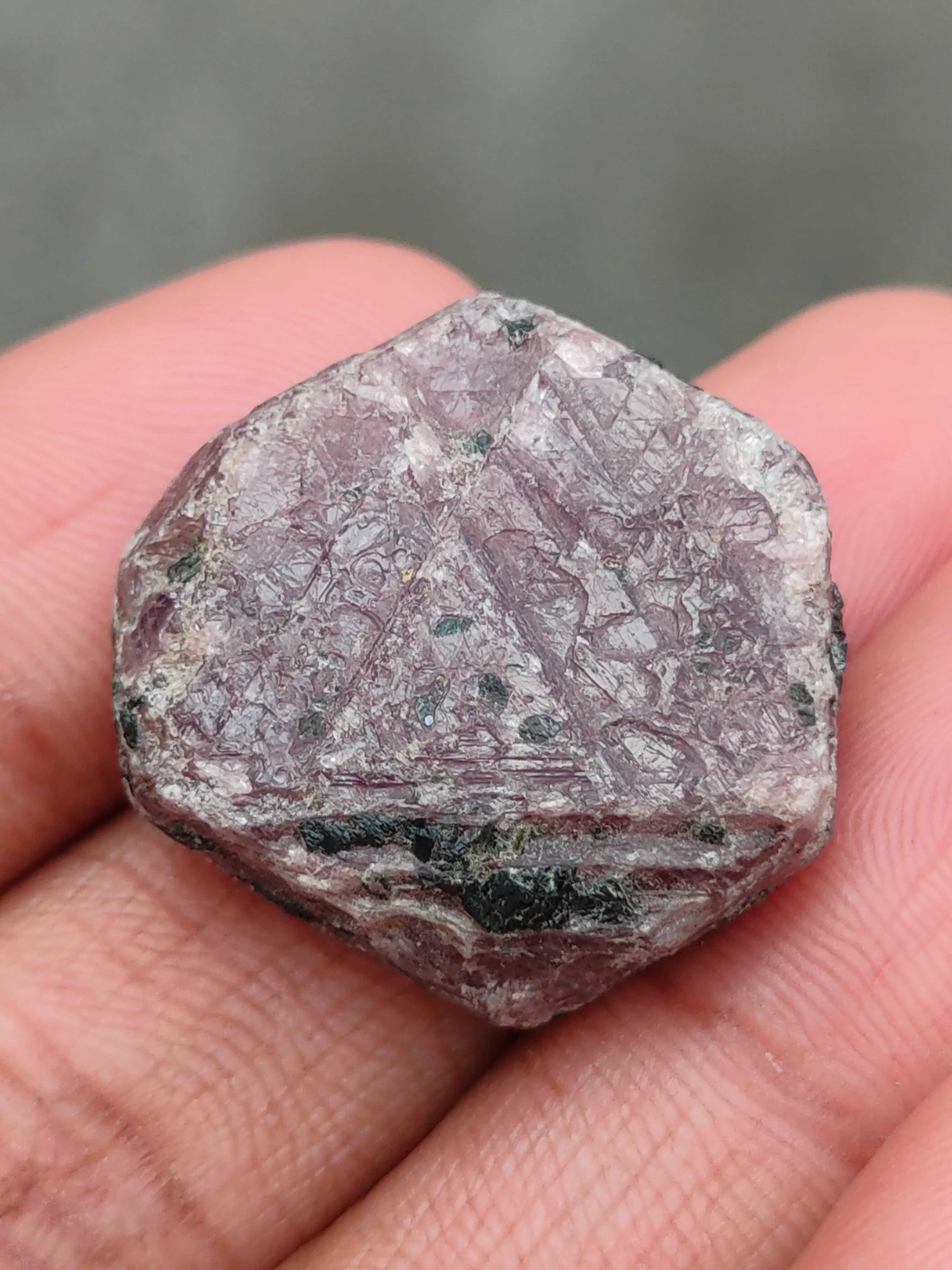 Training on Ruby - image 5