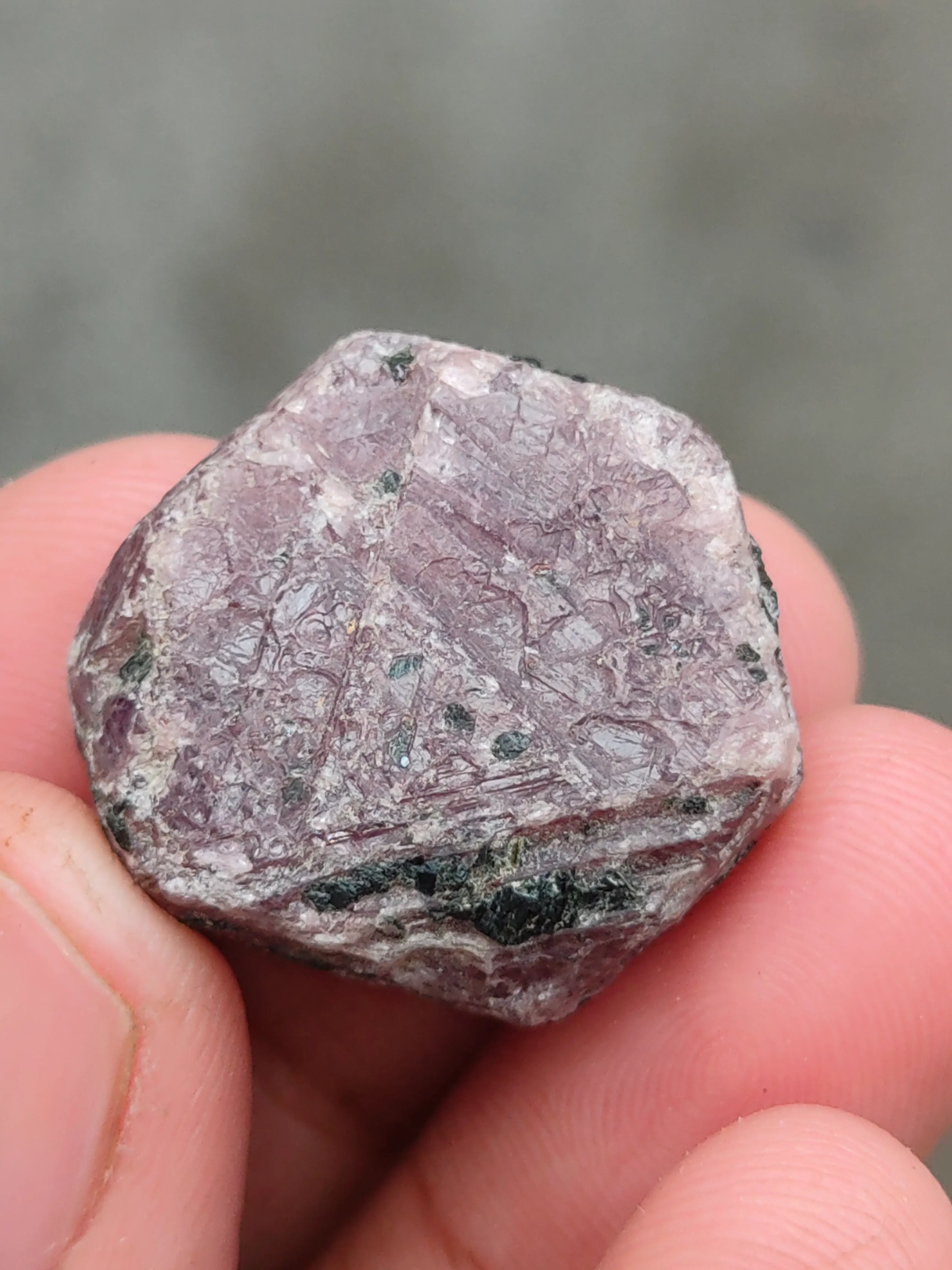 Training on Ruby - image 3