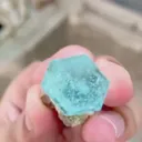 specimen video